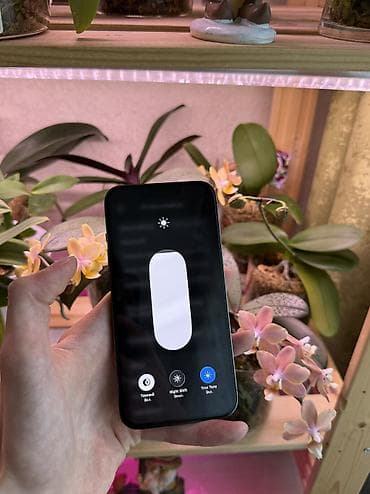 айфон 6 арзан: IPhone 13 Pro, Колдонулган, 128 ГБ, Alpine Green, Коргоочу айнек, Каптама, Куту, 77 % — 5