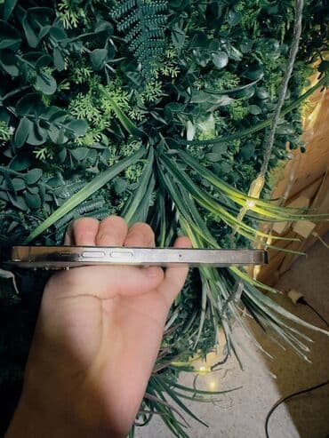 старлайн бишкек: IPhone 13 Pro, Колдонулган, 128 ГБ, Ак, Заряддоочу түзүлүш, Коргоочу айнек, Куту, 86 % — 8