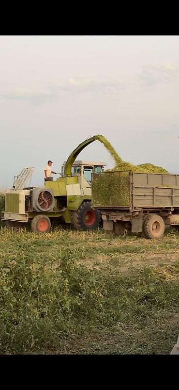 honda dio af68: Claas, Обмен, Б/у — 2