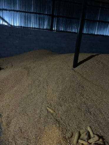 строительный магазин рядом: Кукуруза Оптом, Самовывоз — 3