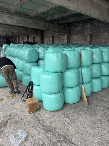 продать животных: Продаем Силос — 4