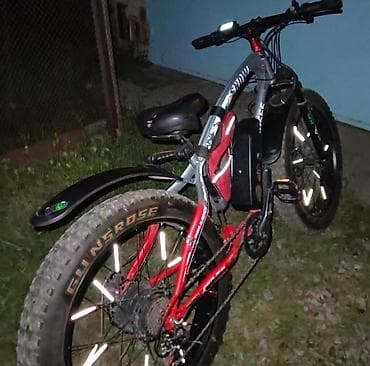 tesla model 3: Электровелосипед — 2