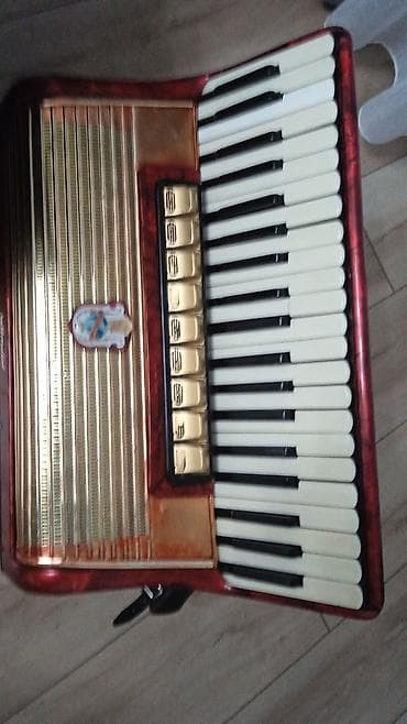 gitara lakewood: Срочно продаю Аккордеоны at lalafo.kg — 9 gitara lakewood: Срочно продаю Аккордеоны — 9