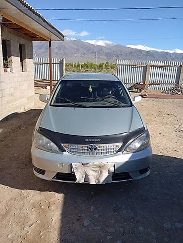 козырек камри: Toyota Camry: 2003 г., 2.4 л, Автомат, Бензин, Седан — 3