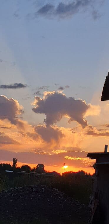 натяжные потолок ош: Натяжной потолок Матовое, 3D потолки, Глянцевое — 23