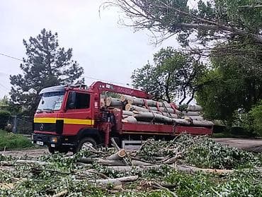 daf tandem: Стрела 11 м, 3 т, Борт 8000 кг — 3