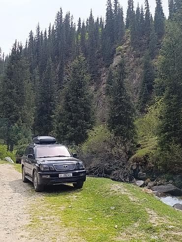 gx 460: Минивэн, Пункт назначения: Аэропорт Манас, Количество мест: 7, Лицензия №: 2828 — 4