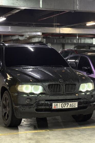дом меняю: BMW X5: 2000 г., 4.4 л, Автомат, Бензиновая, Универсал — 2