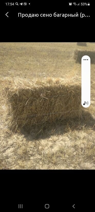 станок для гранулирования корма: Продаю большой объём тюков саломы цена договорная самовывоз г.кайнда — 1