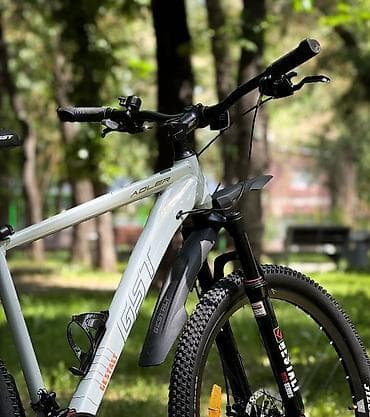 Велосипеддер: Тоо велосипеди, Велосипед алкагы XL (180 - 195 см), Болот, Колдонулган — 8