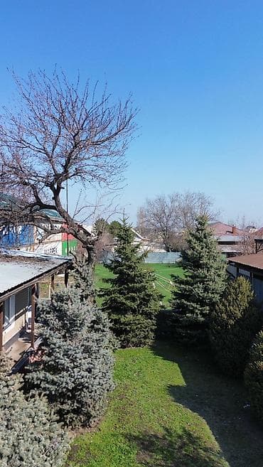 Жер тилкелери: 16 соток, Курулуш, Кызыл китеп — 9