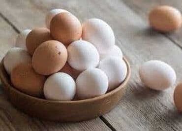 шторы в бишкеке фото и цены: Продаём Куриное Яйцо. ОПТОМ. От К/Х «Жар Птица» — 1