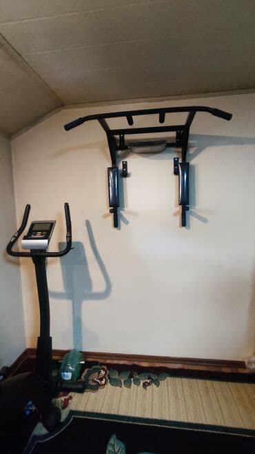 турник домашний настенный: Турник, Новый, Платная доставка, Самовывоз — 1