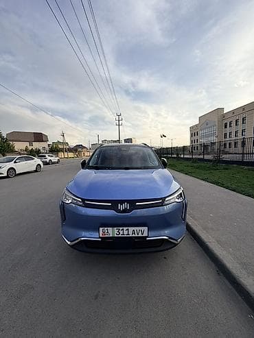 byd plus: Weltmeister W6, 2022 г., 102000 км — 6