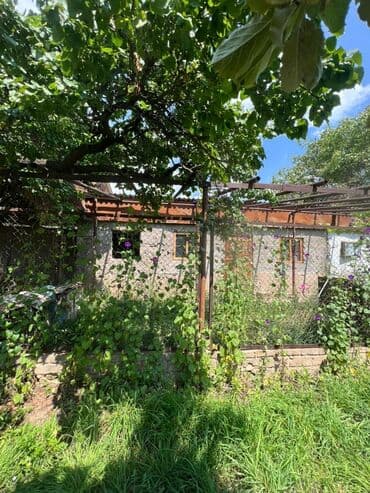 дома в ак ордо: Времянка, 47 м², 2 комнаты, Агентство недвижимости, Косметический ремонт — 8