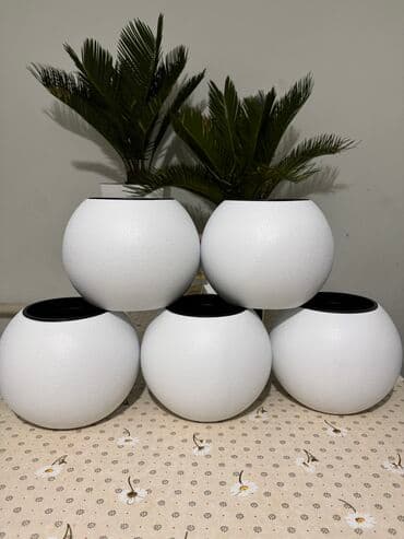 рассрочка тошок: 250 сом
Кашпо для цветов 🌸
По оптовым ценам — 3