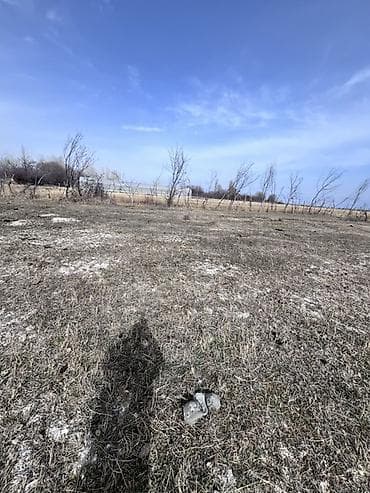 орошаемые земли: 10 соток, Для сельского хозяйства, Красная книга, Договор купли-продажи — 4