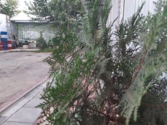 долгосрочная аренда домов арча бешик: 1 комната, Риэлтор, С подселением, С мебелью полностью — 20