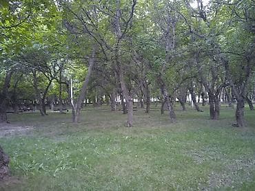 квартиры в беловодское: 2 комнаты, 49 м², 106 серия, 2 этаж — 6