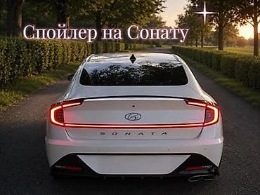 Задний спойлер Hyundai Новый