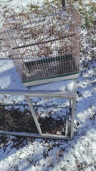 груминг кошек бишкек: Зоотовары — 4