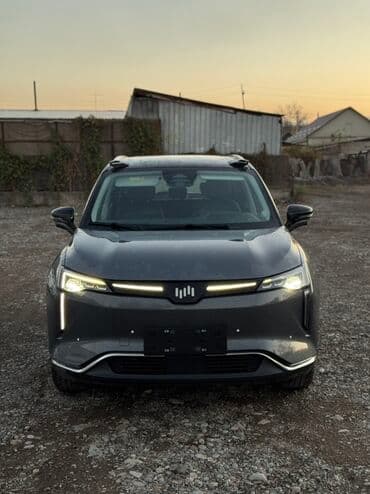 Weltmeister W6, 2022 г., 74662 км, Передний, В наличии