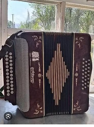 студя: Баян «Львов» (пятиклапанный декор, коричневый корпус) - Тип — 1