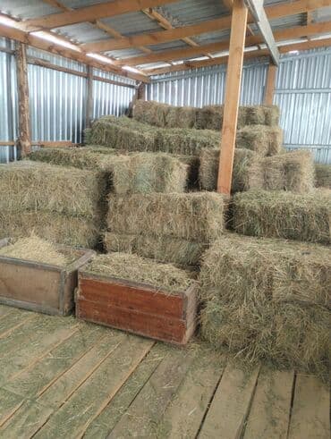 продаю связи с переездом: ТОО чоп.тюк.горное сено в тюках.400 сом.арпа саман 16 тюк.ячменная — 1