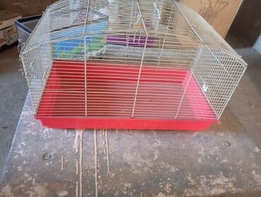 ошейники для кошек: Набор для домашних питомцев: клетки и аквариум - Клетка для грызунов — 4