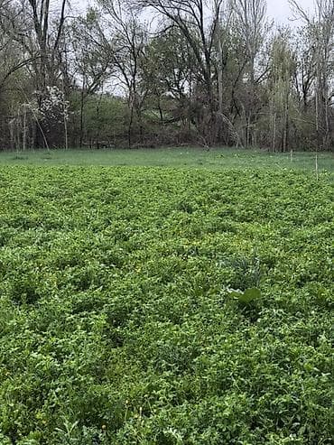 гавриловка участок: 20 соток, Для сельского хозяйства, Красная книга — 5