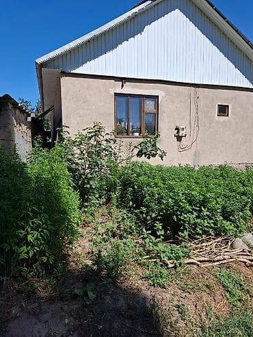 простой: Одноэтажный дом с двускатной крышей и придомовым участком. - Материал — 2
