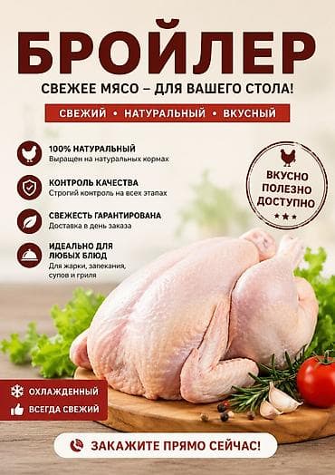 кыргыз и собака: 🐔 Свежий бройлер в продаже! Предлагаем свежего домашнего бройлера — 2
