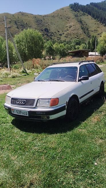 5: Audi 100: 1992 г., 2 л, Механика, Бензин, Универсал — 1