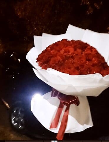 живые растения в аквариум купить: Акция‼️‼️‼️101 и 51 роза букет 💐 любое оформление в подарок 🌹акция — 7