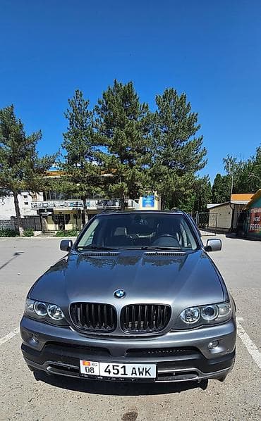 BMW X5: 2004 г., 4.4 л, Автомат, Бензин, Внедорожник