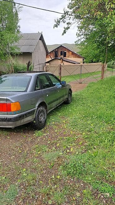 с4 универсал: Audi 100: 1991 г., 2.3 л, Механика, Бензин, Седан — 5