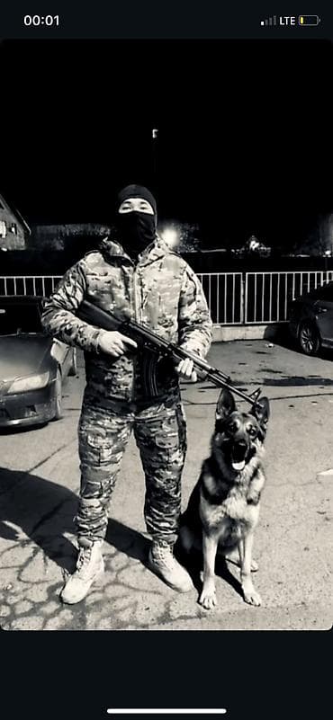 работа для охраны: Услуги охраны и контроля доступа - Профессиональная физическая охрана — 2