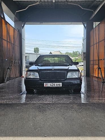 Mercedes-Benz S-Class: 1994 г., 5 л, Автомат, Бензин, Седан — 2