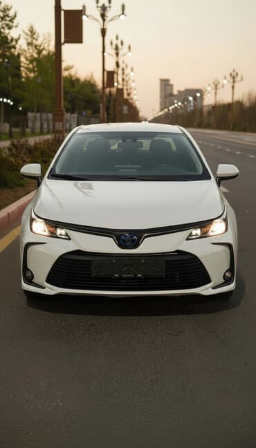 насадка на глушитель с подсветкой: Toyota Corolla: 2021 г., 1.8 л, Вариатор, Бензиновая, Седан — 1