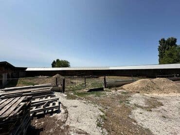 продажа домов сокулуке: Продаю Ферма КРС, 90 соток, С оборудованием, Электричество, Канализация, Отопление — 7