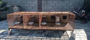 купить белку: Продаю отличные клетки для кролиководов. одна на четыри самки с — 3