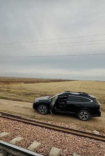 васильева советская: 300 соток Для сельского хозяйства — 10