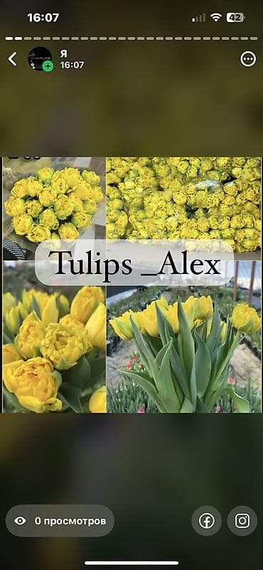 Садовая мебель: Тюльпаны оптом — 4