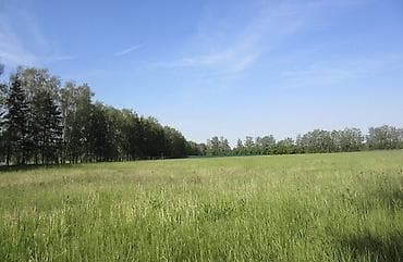 луговая: 30 соток, Тех паспорт, Красная книга — 1