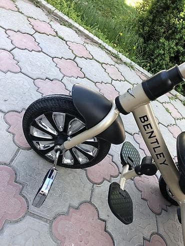 вело коляска: Детский трёхколёсный велосипед-коляска Bentley - Бренд: Bentley — 4