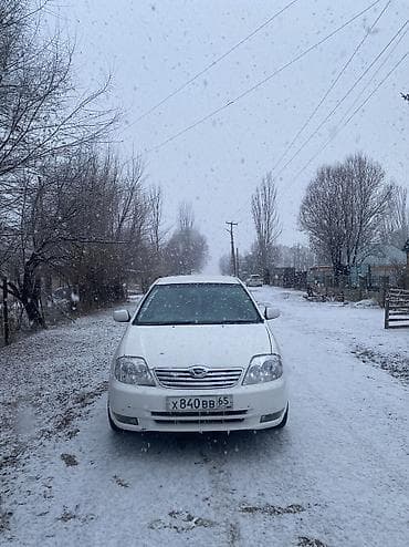 катализатор сатам: Toyota Corolla: 2002 г., 1.5 л, Автомат, Бензин, Седан — 8