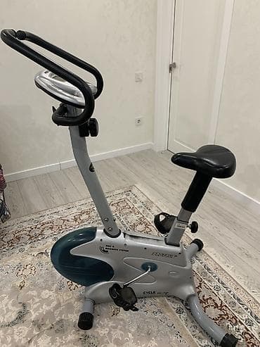 ск пионер: Велотренажёр магнитный Proteus (серия Cycle) - Тип нагрузки — 1