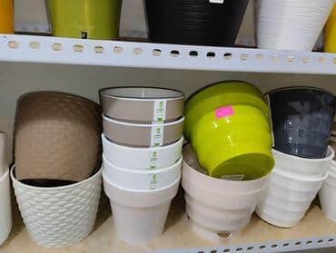 цветы в горшках цена: Распродажа горшков от 180 сом. Большой выбор горшков для ваших цветов — 1