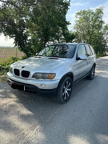 BMW X5: 2001 г., 3 л, Автомат, Бензин, Кроссовер