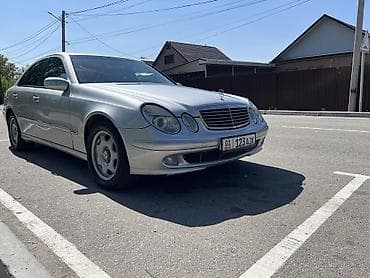 210 дерево: Mercedes-Benz E-Class: 2002 г., 5 л, Автомат, Бензин, Седан — 5